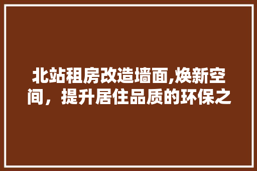 北站租房改造墙面,焕新空间，提升居住品质的环保之路 户内维修