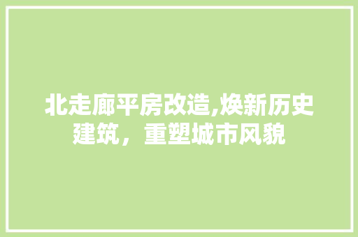 北走廊平房改造,焕新历史建筑，重塑城市风貌