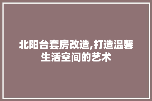 北阳台套房改造,打造温馨生活空间的艺术 居家维修