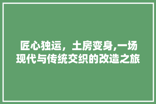 匠心独运，土房变身,一场现代与传统交织的改造之旅