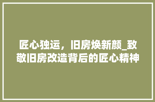 匠心独运，旧房焕新颜_致敬旧房改造背后的匠心精神 家电维修