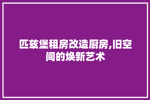 匹兹堡租房改造厨房,旧空间的焕新艺术