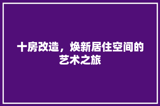 十房改造，焕新居住空间的艺术之旅