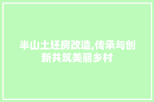 半山土坯房改造,传承与创新共筑美丽乡村