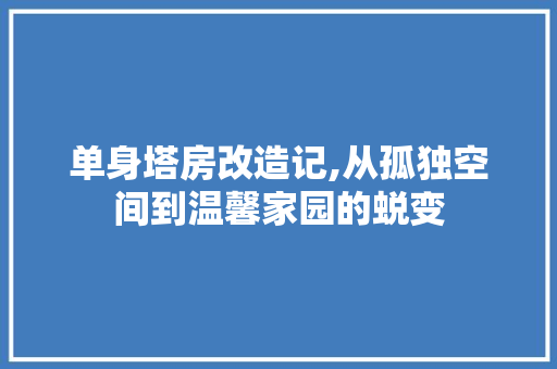 单身塔房改造记,从孤独空间到温馨家园的蜕变 厨房维修