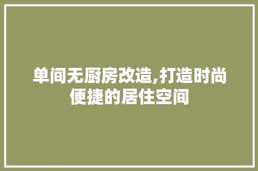 单间无厨房改造,打造时尚便捷的居住空间