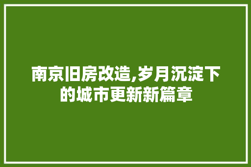 南京旧房改造,岁月沉淀下的城市更新新篇章