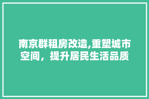 南京群租房改造,重塑城市空间，提升居民生活品质