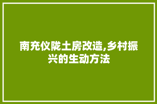 南充仪陇土房改造,乡村振兴的生动方法 厨房维修