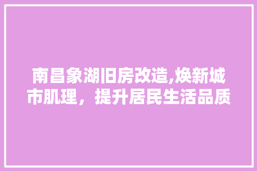 南昌象湖旧房改造,焕新城市肌理，提升居民生活品质