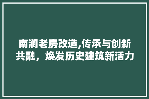 南涧老房改造,传承与创新共融，焕发历史建筑新活力 墙体维修