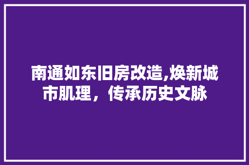 南通如东旧房改造,焕新城市肌理，传承历史文脉 墙体维修