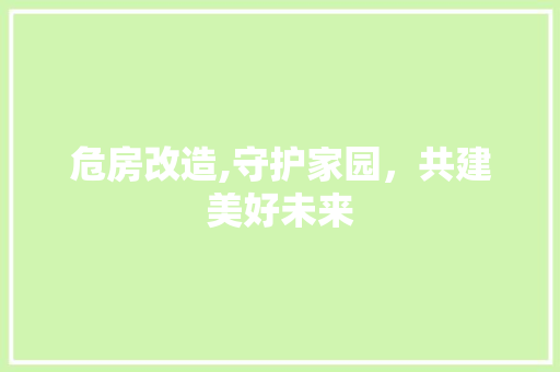 危房改造,守护家园，共建美好未来