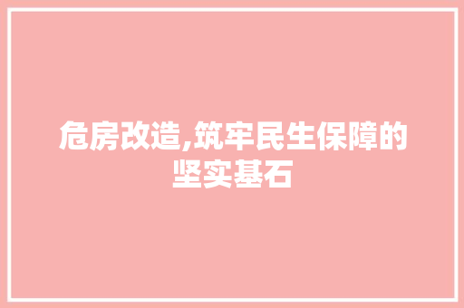 危房改造,筑牢民生保障的坚实基石
