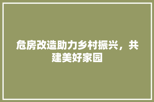 危房改造助力乡村振兴，共建美好家园