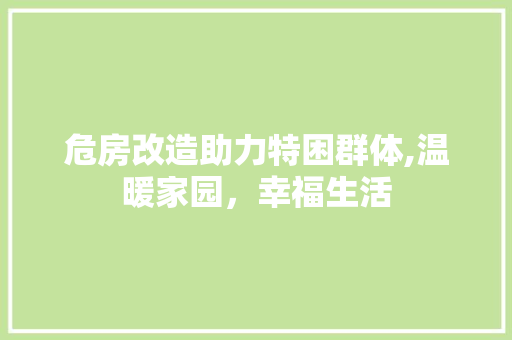 危房改造助力特困群体,温暖家园，幸福生活