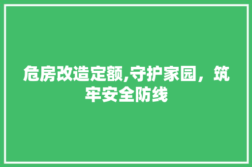 危房改造定额,守护家园，筑牢安全防线