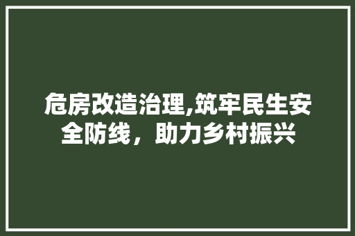 危房改造治理,筑牢民生安全防线，助力乡村振兴