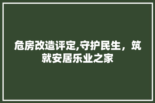 危房改造评定,守护民生，筑就安居乐业之家 户内维修