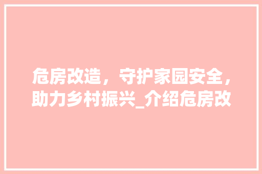 危房改造，守护家园安全，助力乡村振兴_介绍危房改造背后的故事