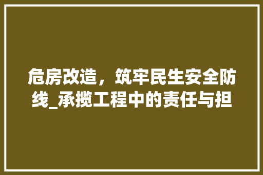 危房改造，筑牢民生安全防线_承揽工程中的责任与担当