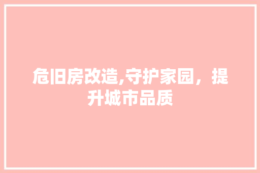 危旧房改造,守护家园，提升城市品质