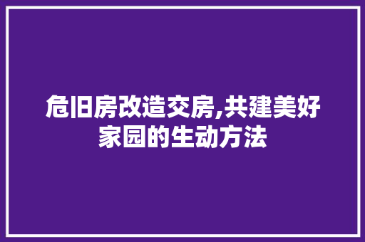 危旧房改造交房,共建美好家园的生动方法