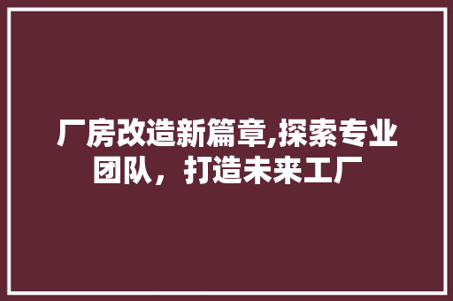 厂房改造新篇章,探索专业团队，打造未来工厂