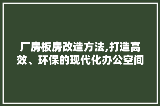 厂房板房改造方法,打造高效、环保的现代化办公空间