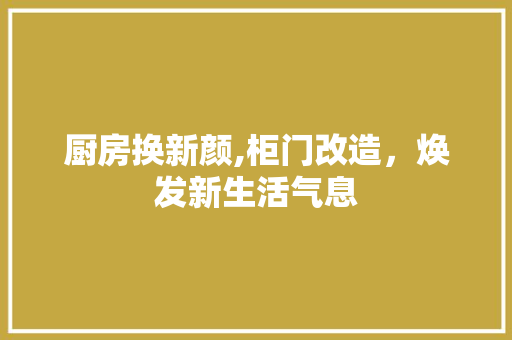 厨房换新颜,柜门改造，焕发新生活气息