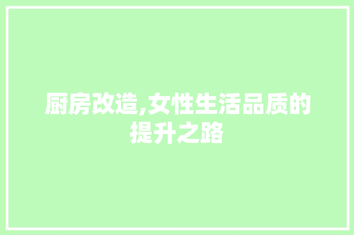 厨房改造,女性生活品质的提升之路 居家维修