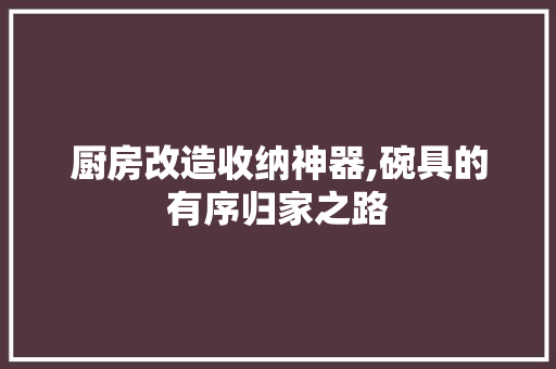 厨房改造收纳神器,碗具的有序归家之路 居家维修