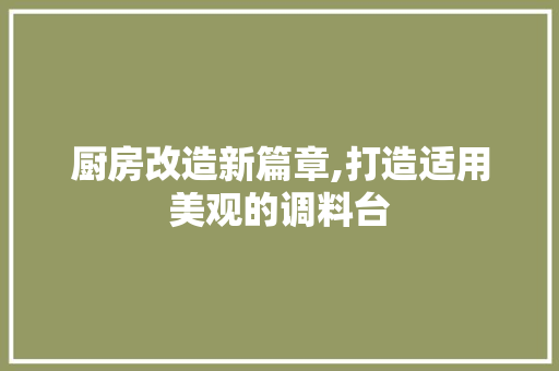 厨房改造新篇章,打造适用美观的调料台
