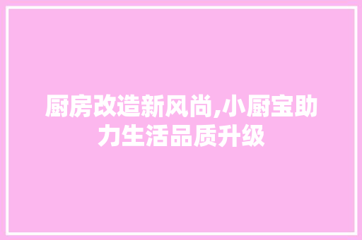 厨房改造新风尚,小厨宝助力生活品质升级