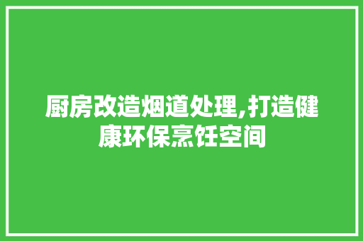 厨房改造烟道处理,打造健康环保烹饪空间