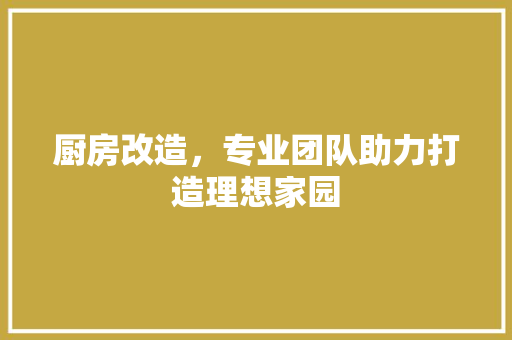厨房改造，专业团队助力打造理想家园