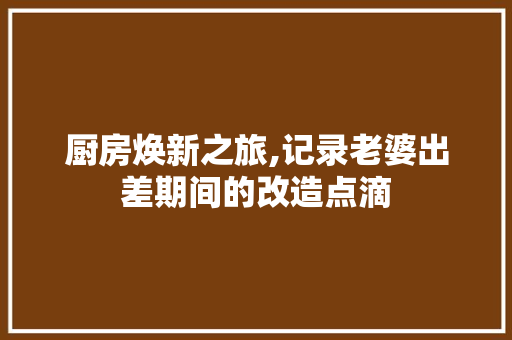 厨房焕新之旅,记录老婆出差期间的改造点滴