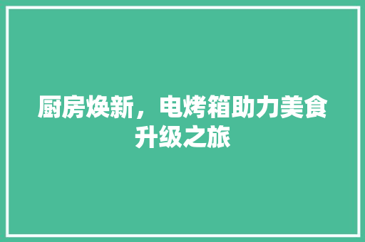 厨房焕新，电烤箱助力美食升级之旅