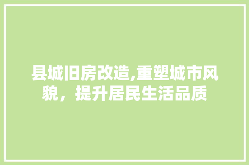 县城旧房改造,重塑城市风貌，提升居民生活品质