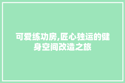 可爱练功房,匠心独运的健身空间改造之旅