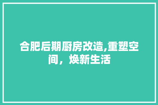 合肥后期厨房改造,重塑空间，焕新生活