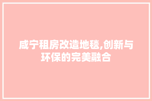 咸宁租房改造地毯,创新与环保的完美融合 厨房维修