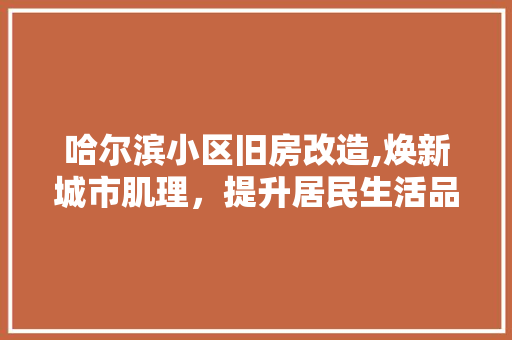 哈尔滨小区旧房改造,焕新城市肌理，提升居民生活品质