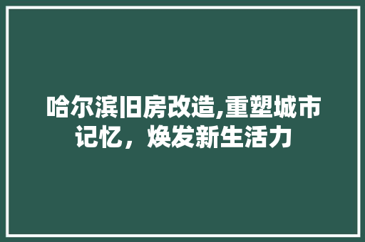 哈尔滨旧房改造,重塑城市记忆，焕发新生活力 居家维修