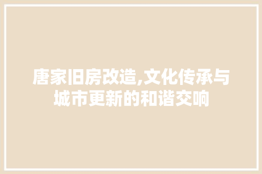 唐家旧房改造,文化传承与城市更新的和谐交响