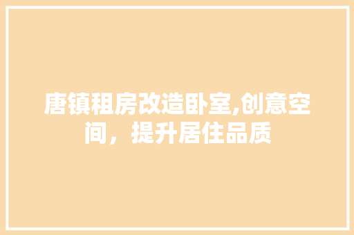 唐镇租房改造卧室,创意空间，提升居住品质