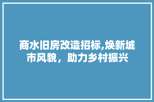 商水旧房改造招标,焕新城市风貌，助力乡村振兴