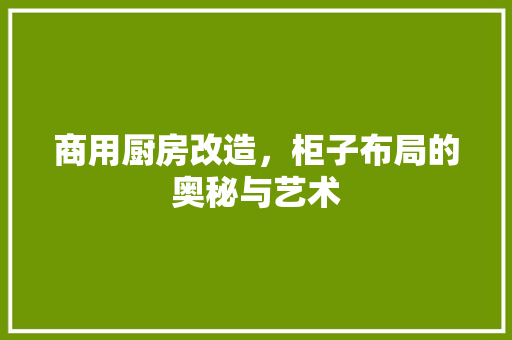 商用厨房改造，柜子布局的奥秘与艺术