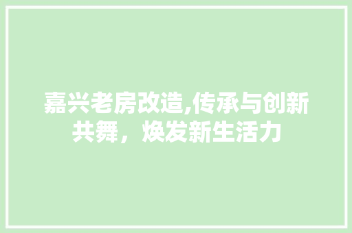 嘉兴老房改造,传承与创新共舞，焕发新生活力
