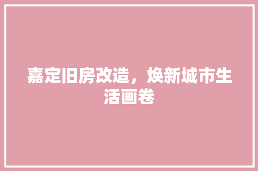 嘉定旧房改造，焕新城市生活画卷